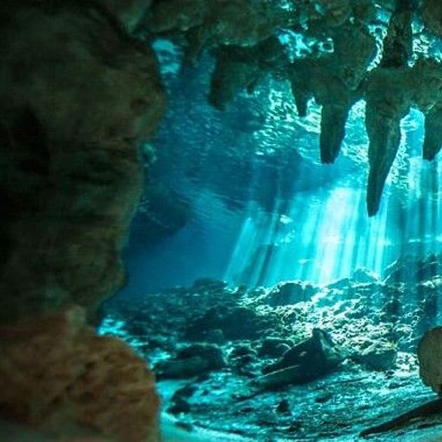 Bucea en un cenote